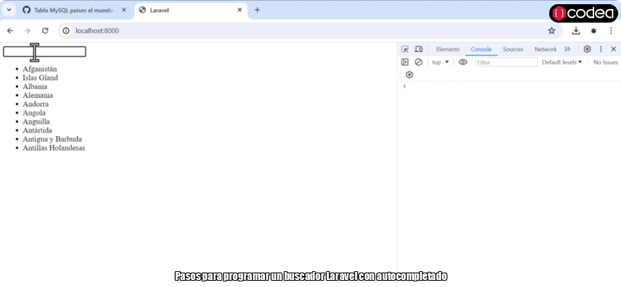 Pasos para programar un buscador Laravel con autocompletado